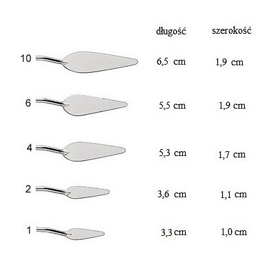 Szpachelka.V / Szpachelka miękka