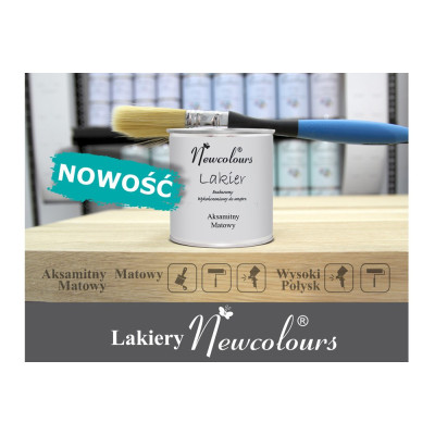 NEW-L.POL / Lakier bezbarwny połysk