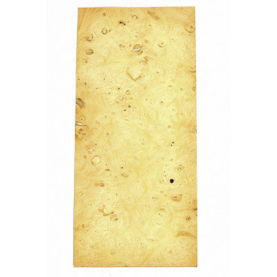 CZECZOT-GOLDEN MADRONA / CZECZOTA NATURALNA