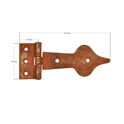 Zawias splatany rdzewiony