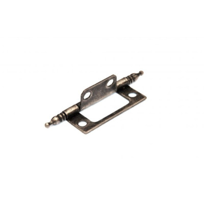 Z40-28 AR ozdobny / Zawias flusch hinge