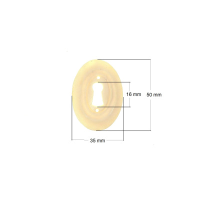 BK 0095 / Kluczynka kościana