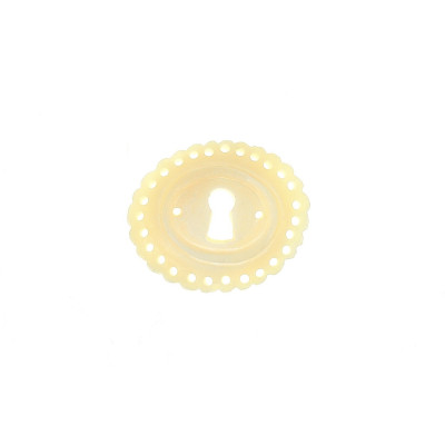 BK 0040 / Kluczynka kościana