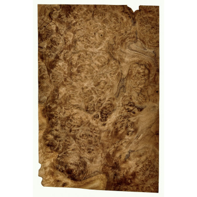 CZECZOT-ORZECH.A1 / CZECZOTA NATURALNA