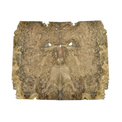 CZECZOT-ORZECH.A2 / CZECZOTA NATURALNA