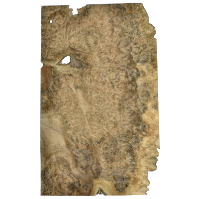 CZECZOT-ORZECH.A2 / CZECZOTA NATURALNA