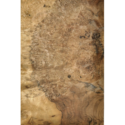 CZECZOT-ORZECH.A4 / CZECZOTA NATURALNA