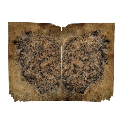 CZECZOT-ORZECH.D1 / CZECZOTA NATURALNA