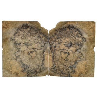 CZECZOT-ORZECH.E1 / CZECZOTA NATURALNA