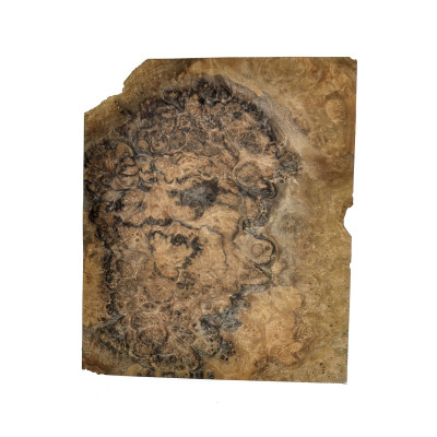 CZECZOT-ORZECH.E1 / CZECZOTA NATURALNA