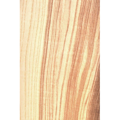 FOR jesion / Fornir jesion pasiasty