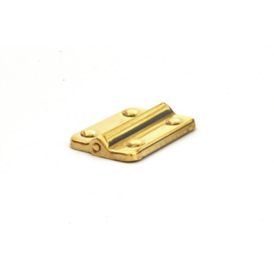 Z39-5008.T.M / Zawias futerałowy stal mosiądzowany