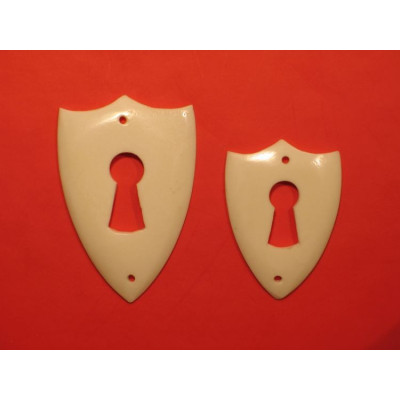 BK 0093 / Kluczynka kościana